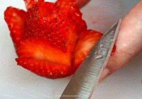 OMG! Look at this tart! A sugar cookie crust filled with rich vanilla custard, topped with strawberry roses. And it tastes even better than it looks.