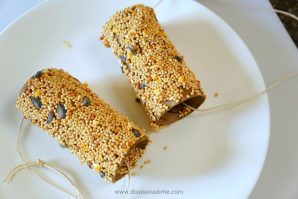 Easy, fun bird feeder craft made from an empty toilet paper roll, peanut butter and bird seed. Great summertime boredom buster.