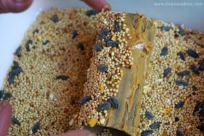 Easy, fun bird feeder craft made from an empty toilet paper roll, peanut butter and bird seed. Great summertime boredom buster.