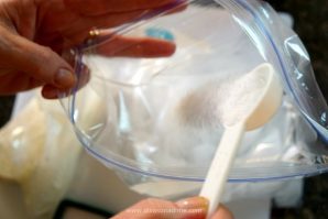 Can zip top baggies, ice and milk make the BEST ice cream? Get the kiddies and find out!