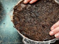 Meringue, ice cream and cake come together to make this elegant and classic dessert. And it’s easier than you think.