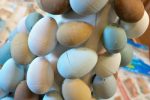 Easter Egg Topiary DIY for easy Spring home decor