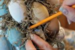 Easter Egg Topiary DIY for easy Spring home decor