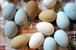 Easter Egg Topiary DIY for easy Spring home decor
